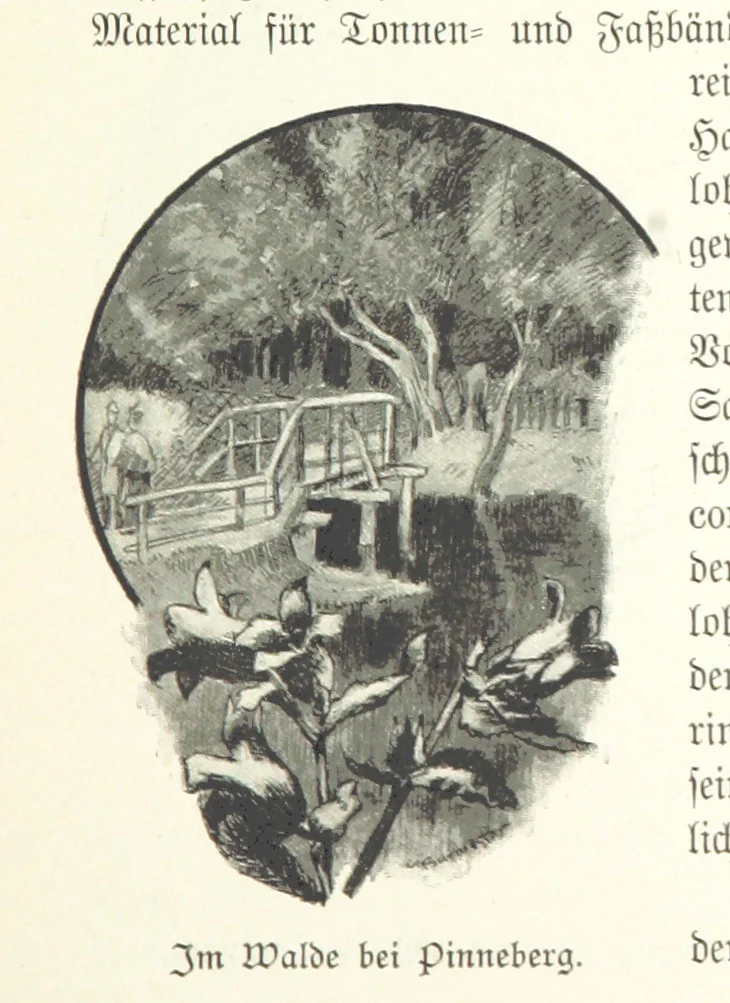An illustration from Schleswig-Holstein meerumschlungen in Wort und Bild ... Herausgegeben von H. Haas, H. Krumm und F. Stoltenberg, etc, 1896, leaf 355
