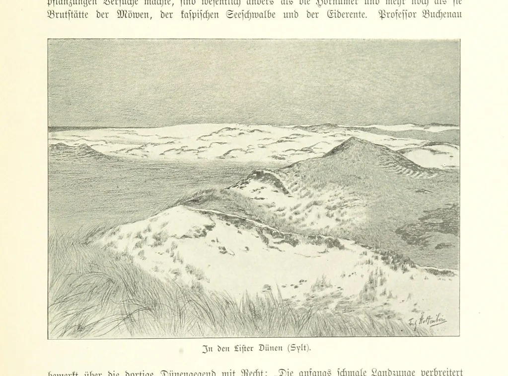 An illustration from Schleswig-Holstein meerumschlungen in Wort und Bild ... Herausgegeben von H. Haas, H. Krumm und F. Stoltenberg, etc, 1896, leaf 399