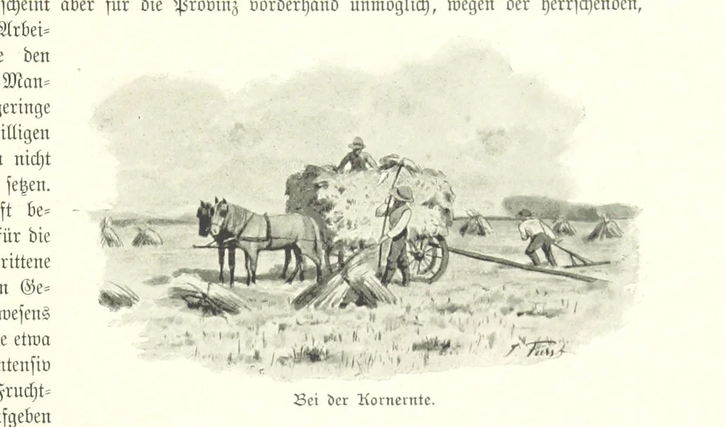 An illustration from Schleswig-Holstein meerumschlungen in Wort und Bild ... Herausgegeben von H. Haas, H. Krumm und F. Stoltenberg, etc, 1896, leaf 419