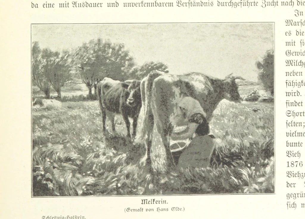 An illustration from Schleswig-Holstein meerumschlungen in Wort und Bild ... Herausgegeben von H. Haas, H. Krumm und F. Stoltenberg, etc, 1896, leaf 421
