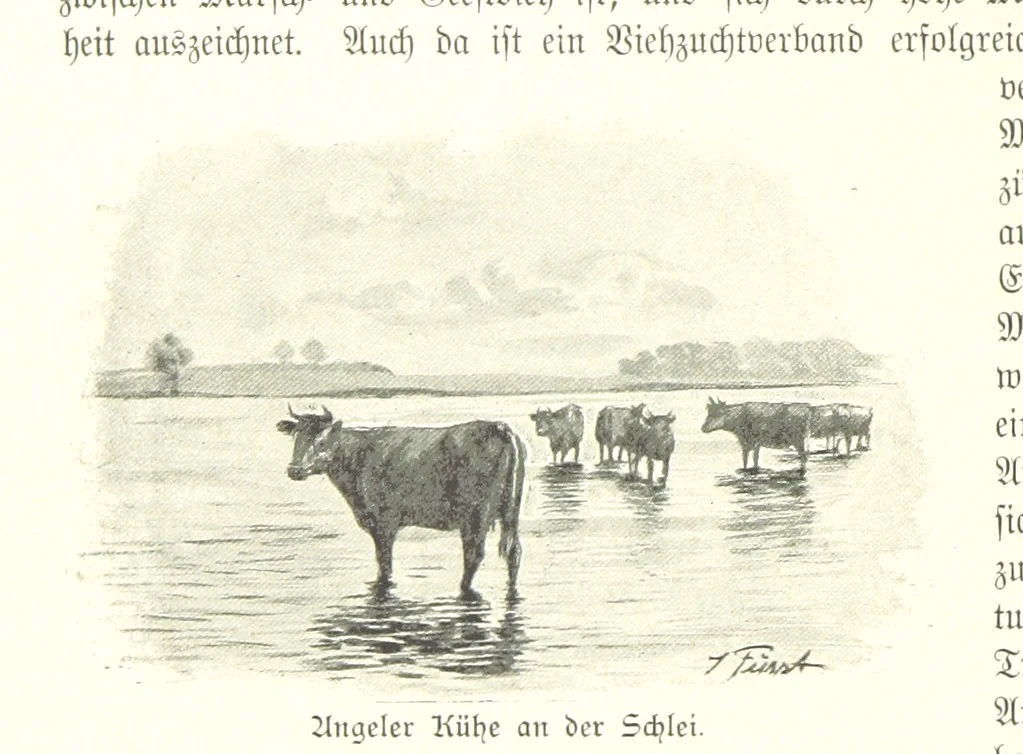 An illustration from Schleswig-Holstein meerumschlungen in Wort und Bild ... Herausgegeben von H. Haas, H. Krumm und F. Stoltenberg, etc, 1896, leaf 422