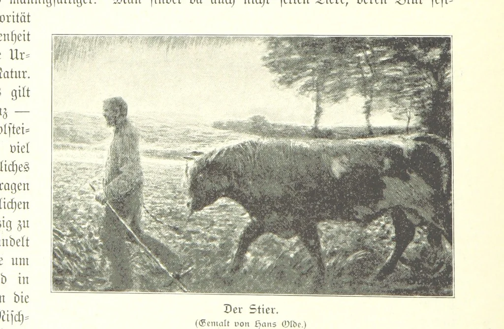 An illustration from Schleswig-Holstein meerumschlungen in Wort und Bild ... Herausgegeben von H. Haas, H. Krumm und F. Stoltenberg, etc, 1896, leaf 422