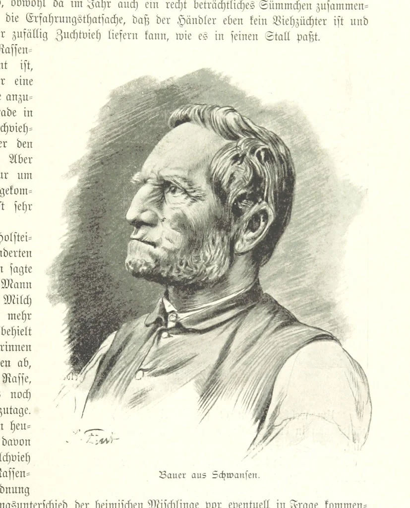 An illustration from Schleswig-Holstein meerumschlungen in Wort und Bild ... Herausgegeben von H. Haas, H. Krumm und F. Stoltenberg, etc, 1896, leaf 423