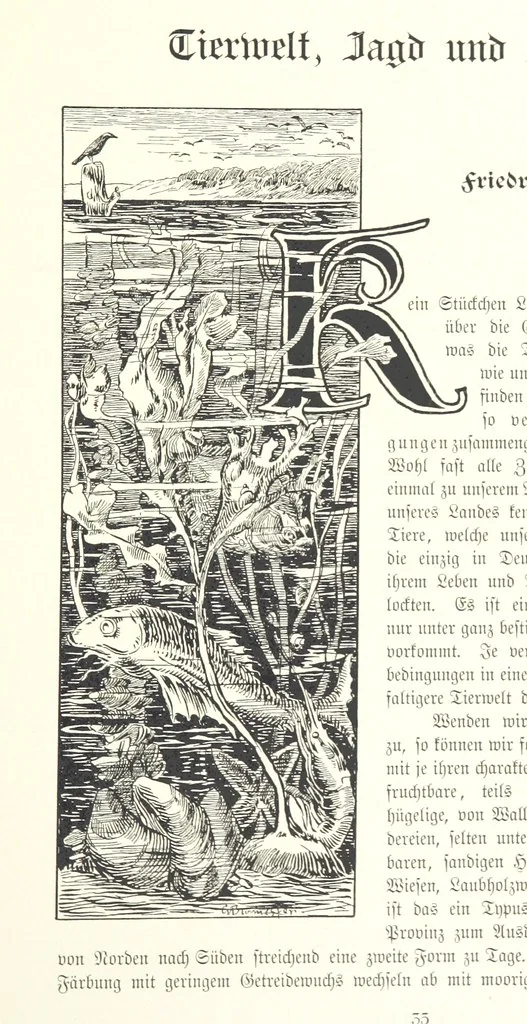 An illustration from Schleswig-Holstein meerumschlungen in Wort und Bild ... Herausgegeben von H. Haas, H. Krumm und F. Stoltenberg, etc, 1896, leaf 55