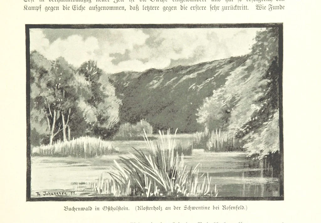 An illustration from Schleswig-Holstein meerumschlungen in Wort und Bild ... Herausgegeben von H. Haas, H. Krumm und F. Stoltenberg, etc, 1896, leaf 65