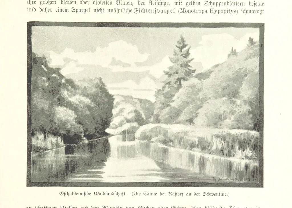 An illustration from Schleswig-Holstein meerumschlungen in Wort und Bild ... Herausgegeben von H. Haas, H. Krumm und F. Stoltenberg, etc, 1896, leaf 67