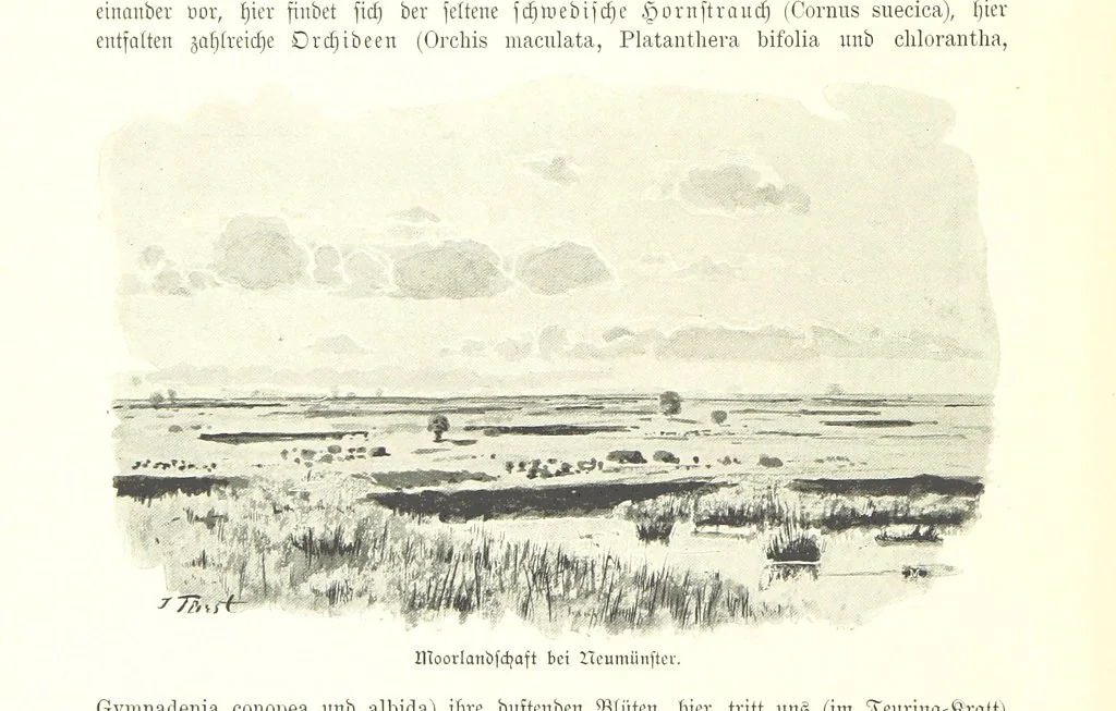An illustration from Schleswig-Holstein meerumschlungen in Wort und Bild ... Herausgegeben von H. Haas, H. Krumm und F. Stoltenberg, etc, 1896, leaf 70
