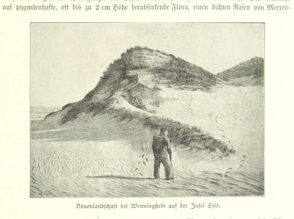 An illustration from Schleswig-Holstein meerumschlungen in Wort und Bild ... Herausgegeben von H. Haas, H. Krumm und F. Stoltenberg, etc, 1896, leaf 71