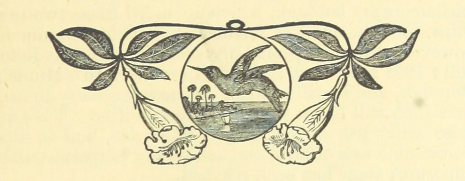 An illustration from The Wednesbury Papers. [Reprinted from the “Wednesbury Herald” and the “Midland Advertiser.”, 1884, leaf 115