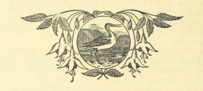 An illustration from The Wednesbury Papers. [Reprinted from the “Wednesbury Herald” and the “Midland Advertiser.”, 1884, leaf 120