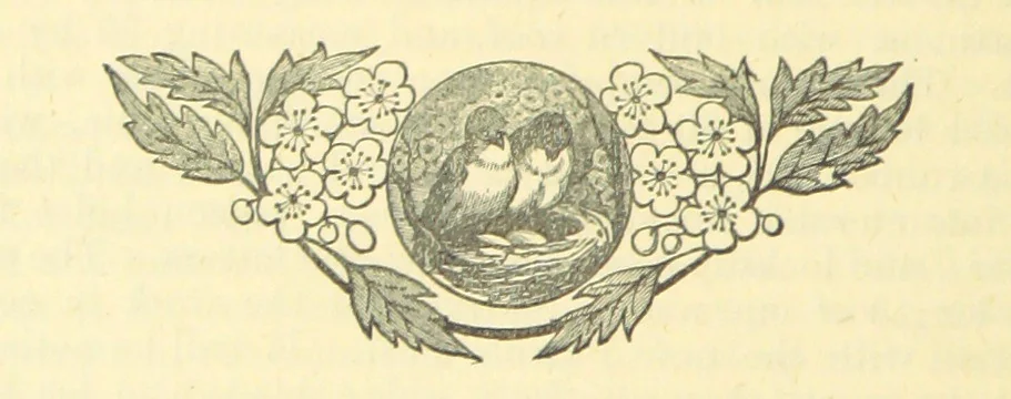An illustration from The Wednesbury Papers. [Reprinted from the “Wednesbury Herald” and the “Midland Advertiser.”, 1884, leaf 134