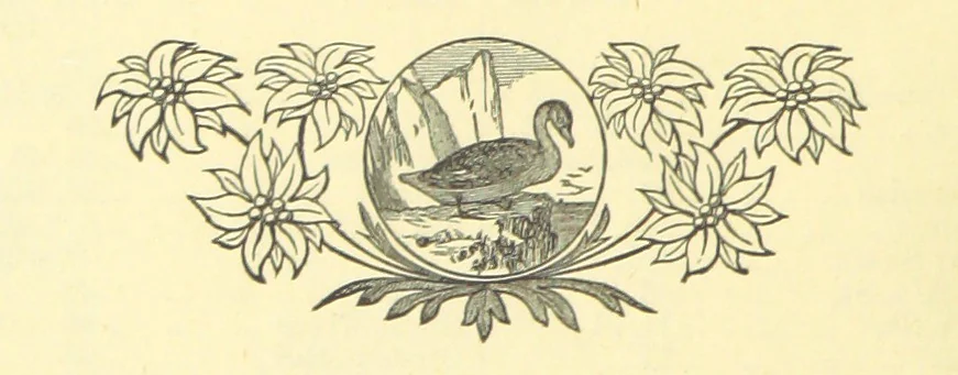 An illustration from The Wednesbury Papers. [Reprinted from the “Wednesbury Herald” and the “Midland Advertiser.”, 1884, leaf 14