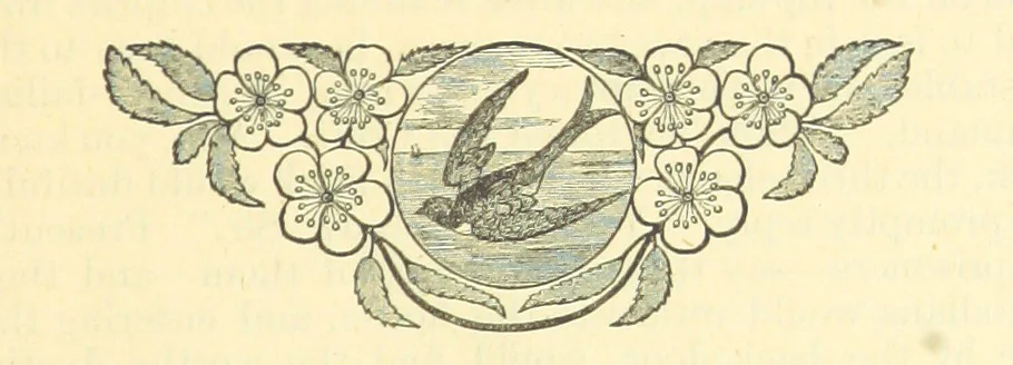 An illustration from The Wednesbury Papers. [Reprinted from the “Wednesbury Herald” and the “Midland Advertiser.”, 1884, leaf 157