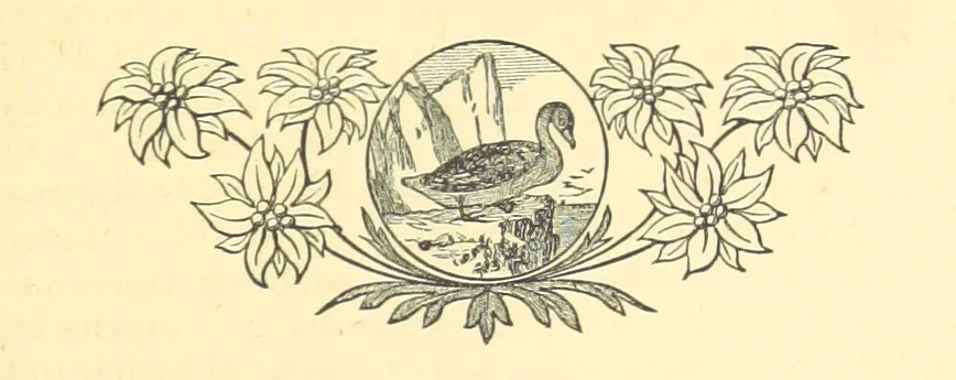 An illustration from The Wednesbury Papers. [Reprinted from the “Wednesbury Herald” and the “Midland Advertiser.”, 1884, leaf 159