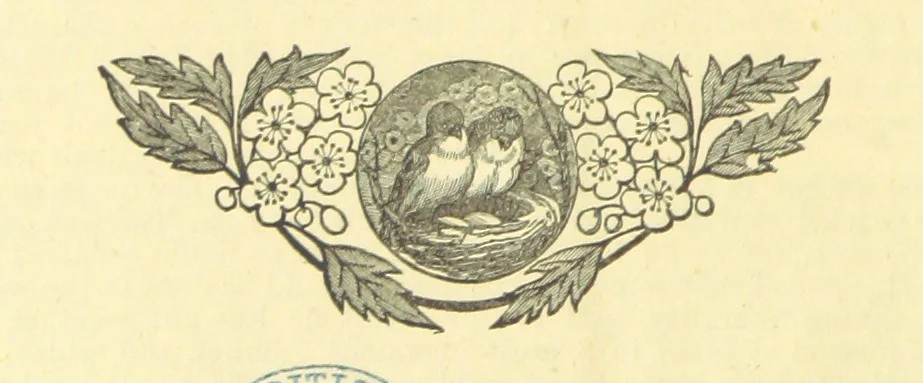 An illustration from The Wednesbury Papers. [Reprinted from the “Wednesbury Herald” and the “Midland Advertiser.”, 1884, leaf 164