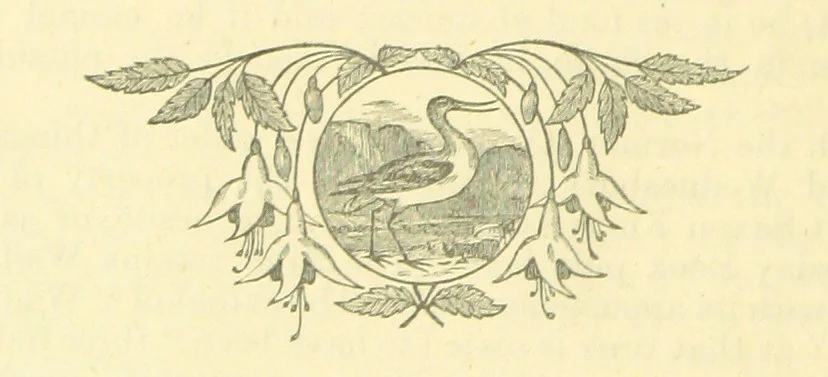 An illustration from The Wednesbury Papers. [Reprinted from the “Wednesbury Herald” and the “Midland Advertiser.”, 1884, leaf 24