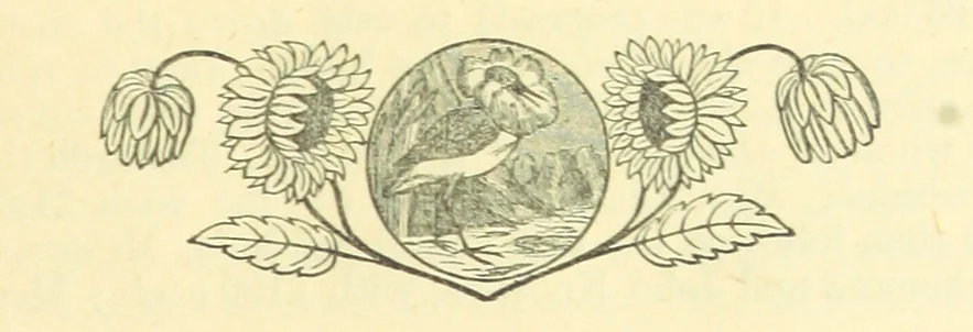 An illustration from The Wednesbury Papers. [Reprinted from the “Wednesbury Herald” and the “Midland Advertiser.”, 1884, leaf 37