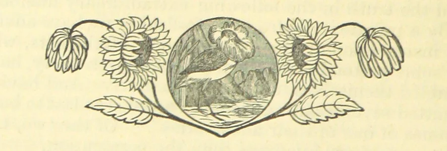 An illustration from The Wednesbury Papers. [Reprinted from the “Wednesbury Herald” and the “Midland Advertiser.”, 1884, leaf 56