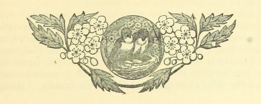 An illustration from The Wednesbury Papers. [Reprinted from the “Wednesbury Herald” and the “Midland Advertiser.”, 1884, leaf 71