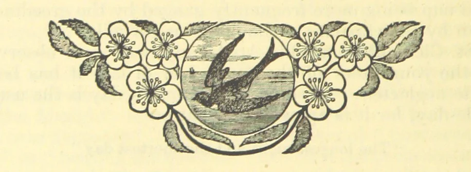 An illustration from The Wednesbury Papers. [Reprinted from the “Wednesbury Herald” and the “Midland Advertiser.”, 1884, leaf 78