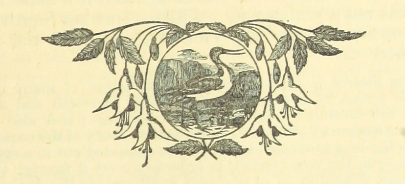 An illustration from The Wednesbury Papers. [Reprinted from the “Wednesbury Herald” and the “Midland Advertiser.”, 1884, leaf 85