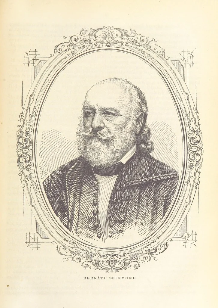 An illustration from Orszaggyülési Emlékkönyv. 1866 ... H. K. felelös szerkesztö, Farkas A. fömunkatárs, 1866, leaf 49