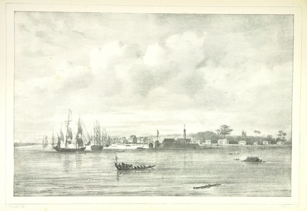 An illustration from Kolonisatie van Europeanen te Suriname. Opheffing van het pauperisme, ontwikkeling van handel en industrie, met ongeveer 90 platen, 1872, leaf 159