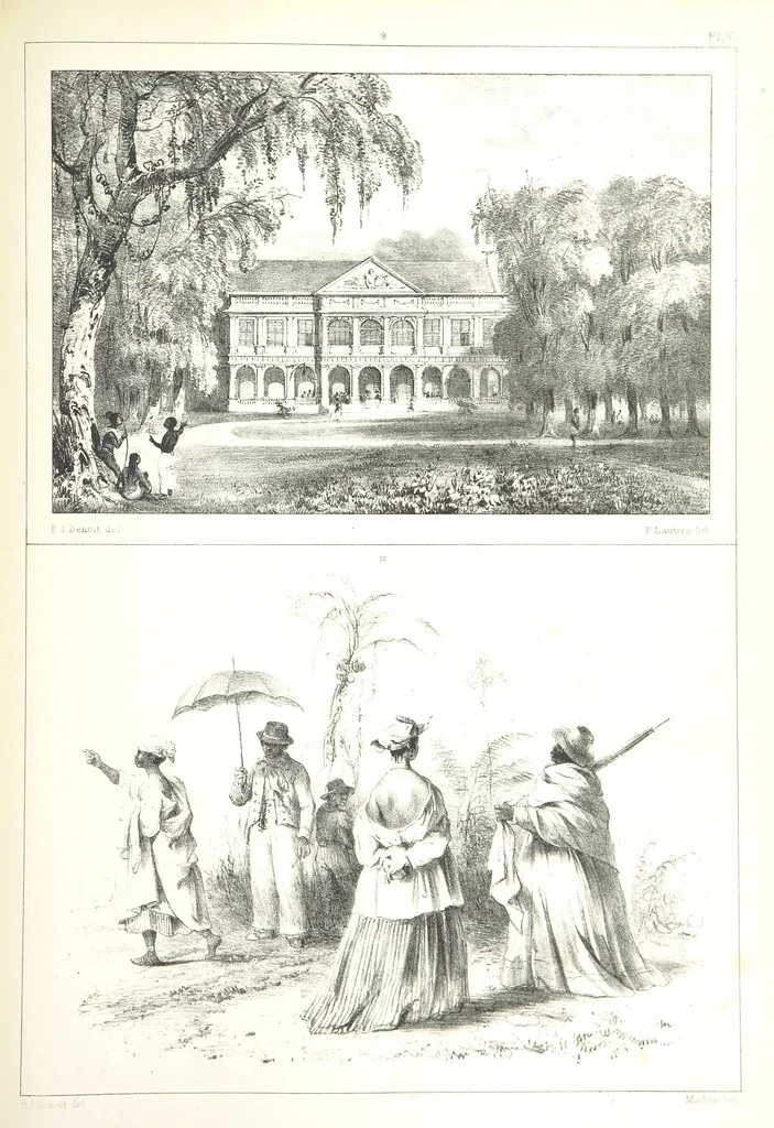 An illustration from Kolonisatie van Europeanen te Suriname. Opheffing van het pauperisme, ontwikkeling van handel en industrie, met ongeveer 90 platen, 1872, leaf 165