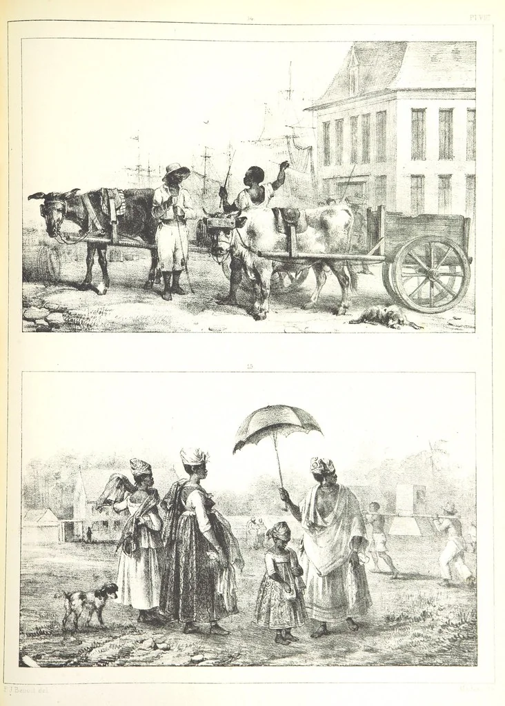 An illustration from Kolonisatie van Europeanen te Suriname. Opheffing van het pauperisme, ontwikkeling van handel en industrie, met ongeveer 90 platen, 1872, leaf 171