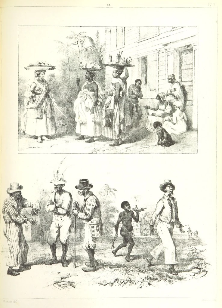 An illustration from Kolonisatie van Europeanen te Suriname. Opheffing van het pauperisme, ontwikkeling van handel en industrie, met ongeveer 90 platen, 1872, leaf 175