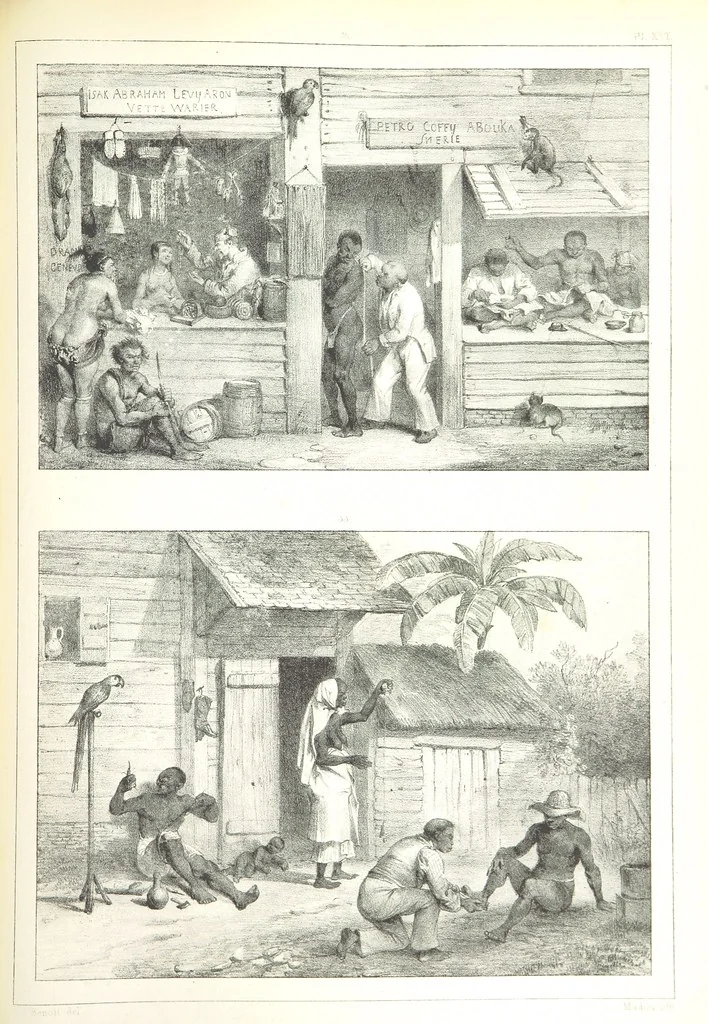 An illustration from Kolonisatie van Europeanen te Suriname. Opheffing van het pauperisme, ontwikkeling van handel en industrie, met ongeveer 90 platen, 1872, leaf 187