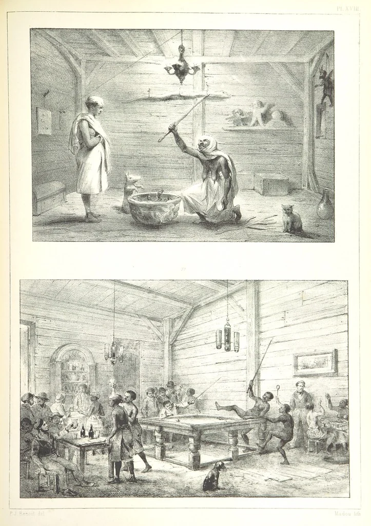 An illustration from Kolonisatie van Europeanen te Suriname. Opheffing van het pauperisme, ontwikkeling van handel en industrie, met ongeveer 90 platen, 1872, leaf 191