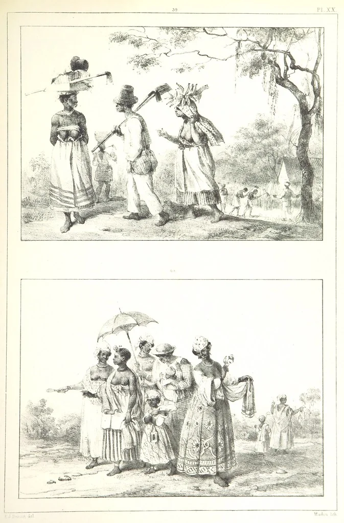 An illustration from Kolonisatie van Europeanen te Suriname. Opheffing van het pauperisme, ontwikkeling van handel en industrie, met ongeveer 90 platen, 1872, leaf 195