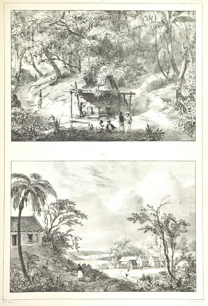 An illustration from Kolonisatie van Europeanen te Suriname. Opheffing van het pauperisme, ontwikkeling van handel en industrie, met ongeveer 90 platen, 1872, leaf 199