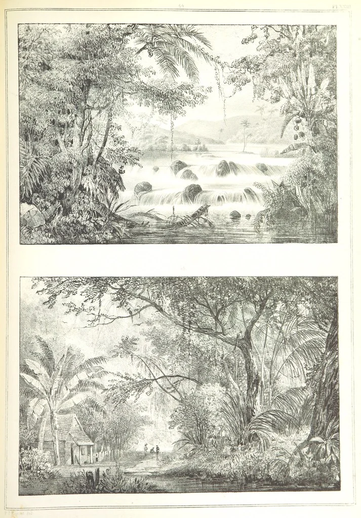 An illustration from Kolonisatie van Europeanen te Suriname. Opheffing van het pauperisme, ontwikkeling van handel en industrie, met ongeveer 90 platen, 1872, leaf 201