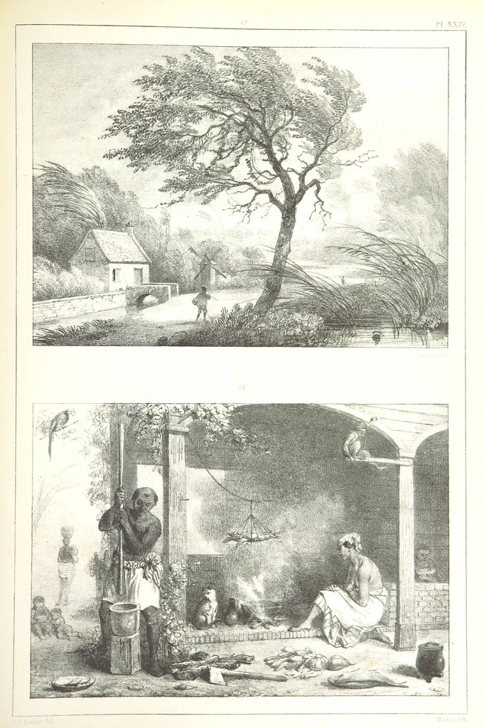 An illustration from Kolonisatie van Europeanen te Suriname. Opheffing van het pauperisme, ontwikkeling van handel en industrie, met ongeveer 90 platen, 1872, leaf 203