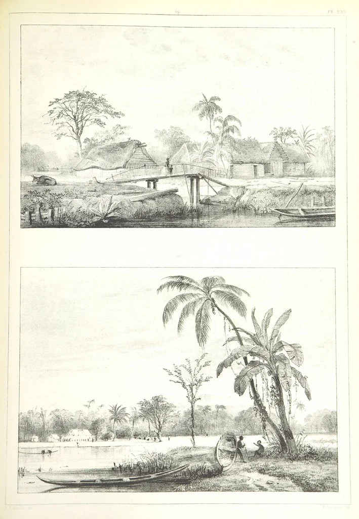 An illustration from Kolonisatie van Europeanen te Suriname. Opheffing van het pauperisme, ontwikkeling van handel en industrie, met ongeveer 90 platen, 1872, leaf 205