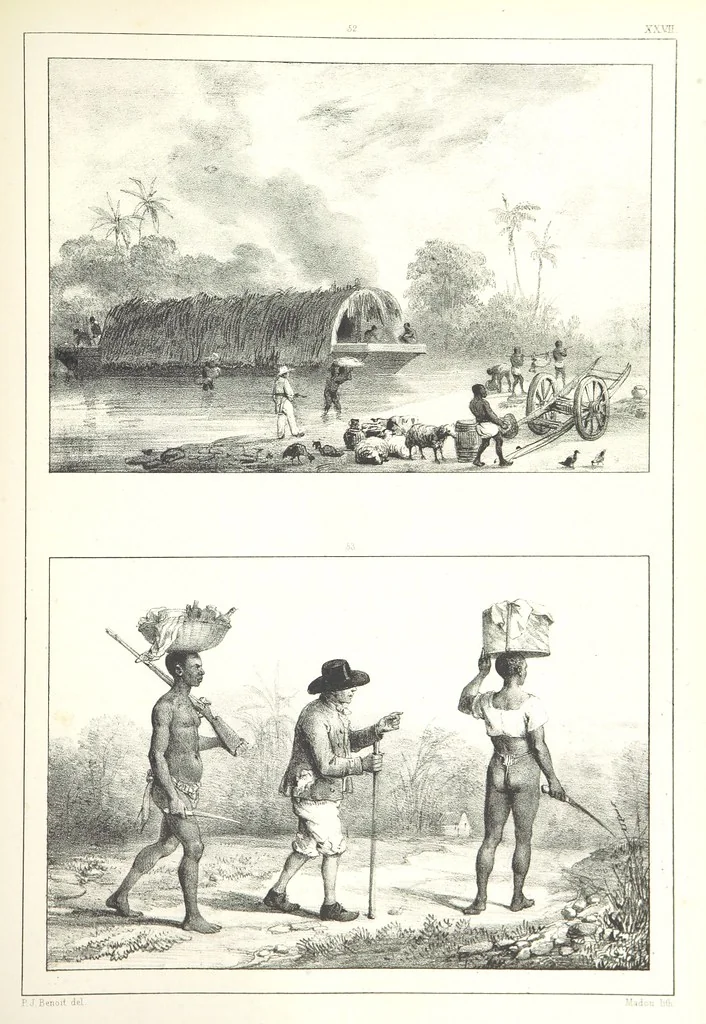 An illustration from Kolonisatie van Europeanen te Suriname. Opheffing van het pauperisme, ontwikkeling van handel en industrie, met ongeveer 90 platen, 1872, leaf 209