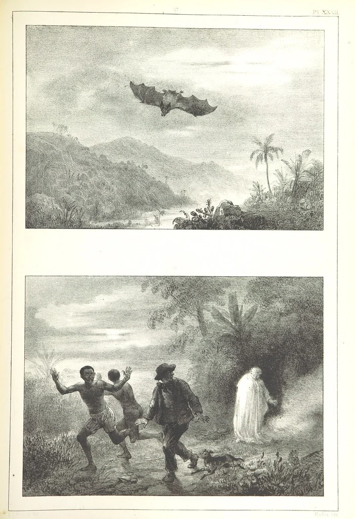 An illustration from Kolonisatie van Europeanen te Suriname. Opheffing van het pauperisme, ontwikkeling van handel en industrie, met ongeveer 90 platen, 1872, leaf 219