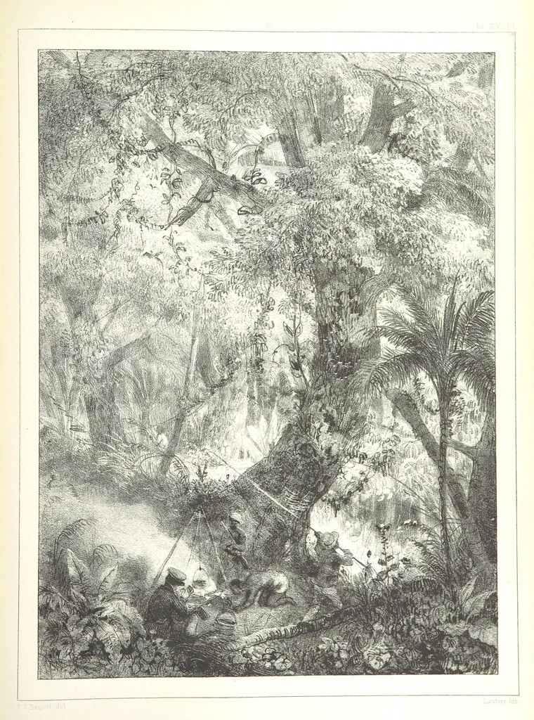 An illustration from Kolonisatie van Europeanen te Suriname. Opheffing van het pauperisme, ontwikkeling van handel en industrie, met ongeveer 90 platen, 1872, leaf 221