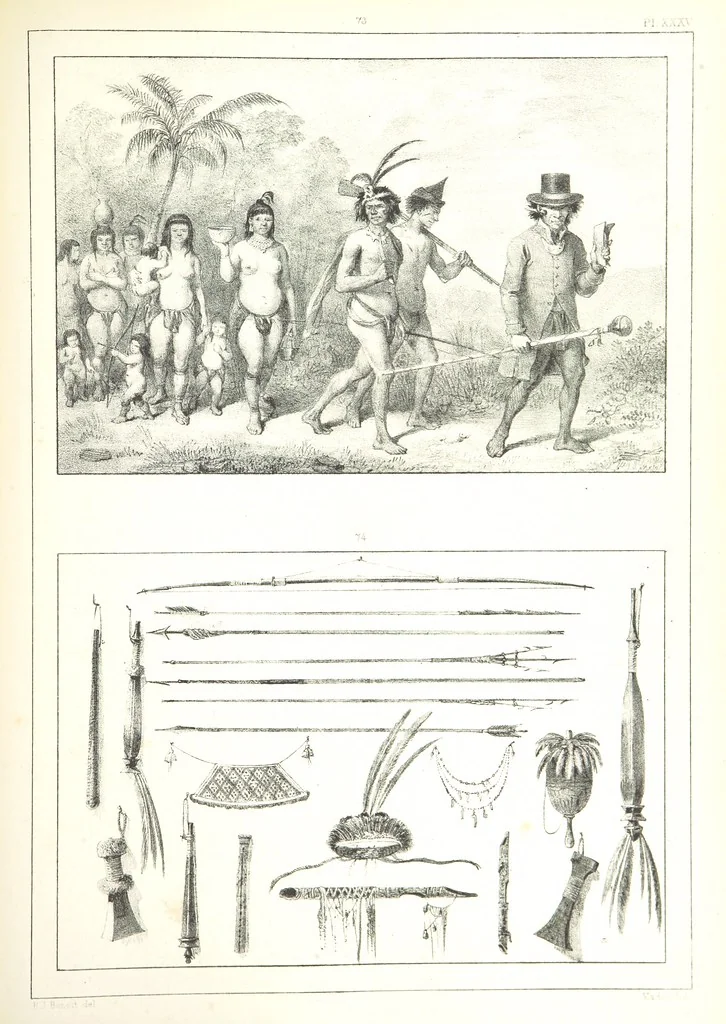 An illustration from Kolonisatie van Europeanen te Suriname. Opheffing van het pauperisme, ontwikkeling van handel en industrie, met ongeveer 90 platen, 1872, leaf 225
