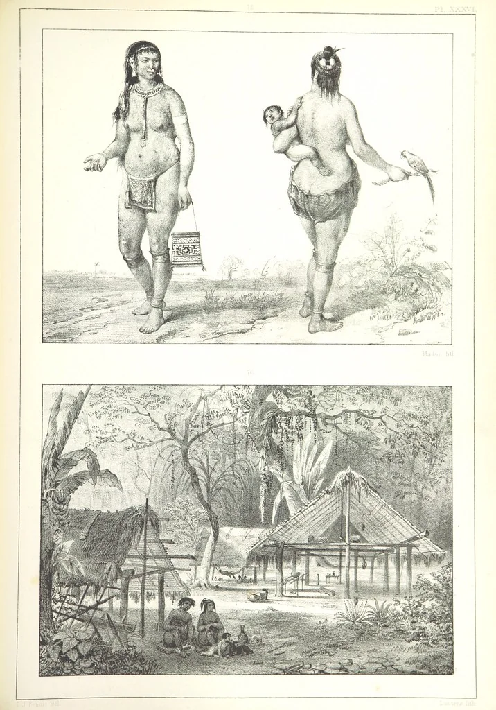 An illustration from Kolonisatie van Europeanen te Suriname. Opheffing van het pauperisme, ontwikkeling van handel en industrie, met ongeveer 90 platen, 1872, leaf 227