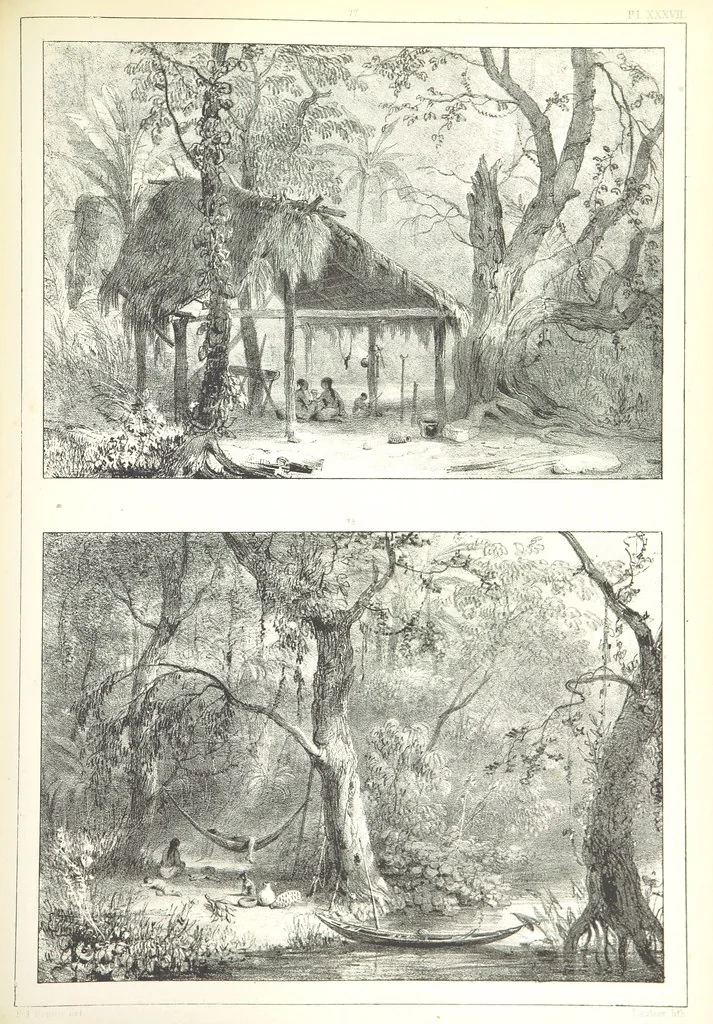 An illustration from Kolonisatie van Europeanen te Suriname. Opheffing van het pauperisme, ontwikkeling van handel en industrie, met ongeveer 90 platen, 1872, leaf 229