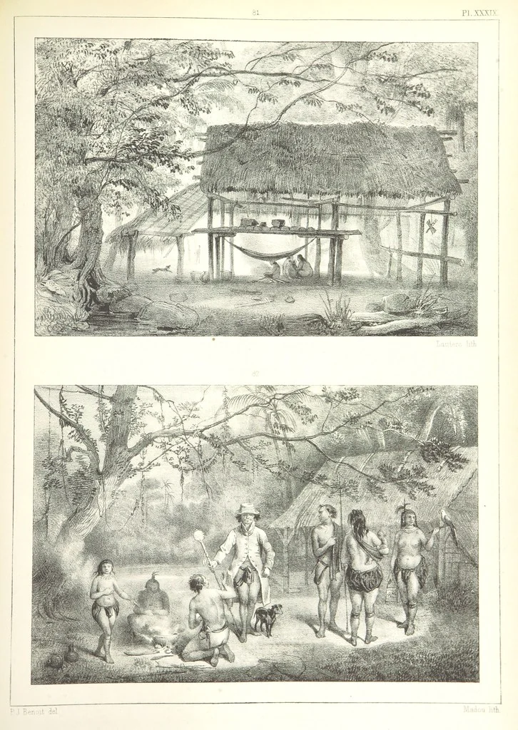 An illustration from Kolonisatie van Europeanen te Suriname. Opheffing van het pauperisme, ontwikkeling van handel en industrie, met ongeveer 90 platen, 1872, leaf 233
