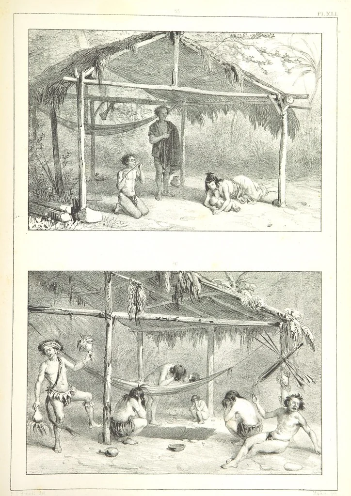 An illustration from Kolonisatie van Europeanen te Suriname. Opheffing van het pauperisme, ontwikkeling van handel en industrie, met ongeveer 90 platen, 1872, leaf 237