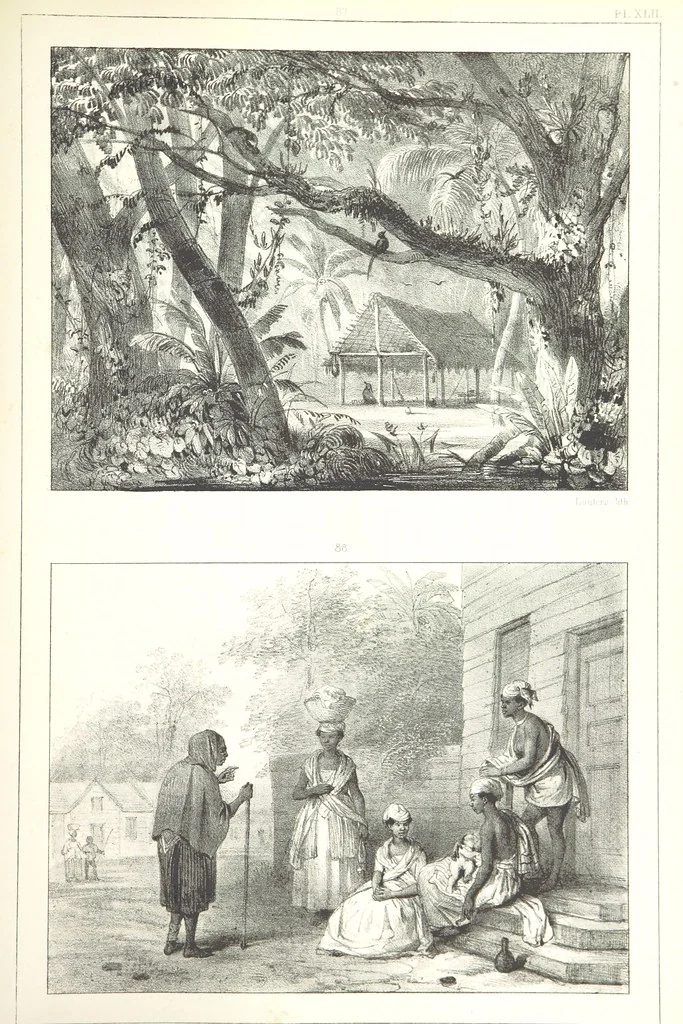 An illustration from Kolonisatie van Europeanen te Suriname. Opheffing van het pauperisme, ontwikkeling van handel en industrie, met ongeveer 90 platen, 1872, leaf 239