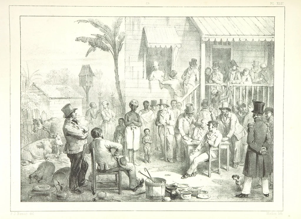 An illustration from Kolonisatie van Europeanen te Suriname. Opheffing van het pauperisme, ontwikkeling van handel en industrie, met ongeveer 90 platen, 1872, leaf 241