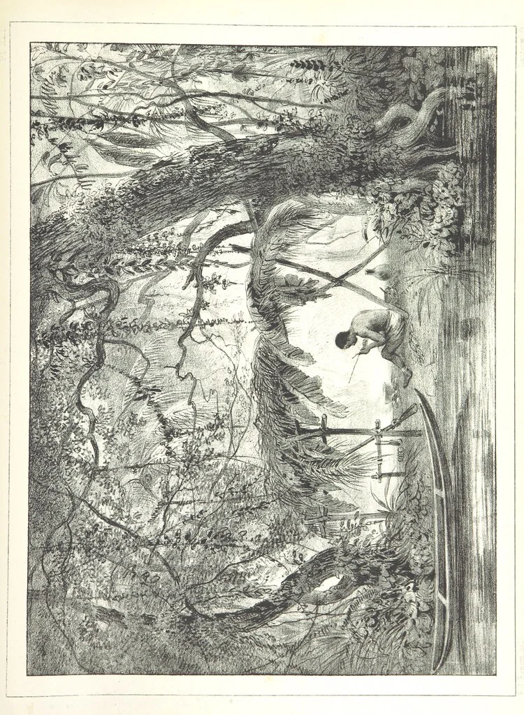 An illustration from Kolonisatie van Europeanen te Suriname. Opheffing van het pauperisme, ontwikkeling van handel en industrie, met ongeveer 90 platen, 1872, leaf 243