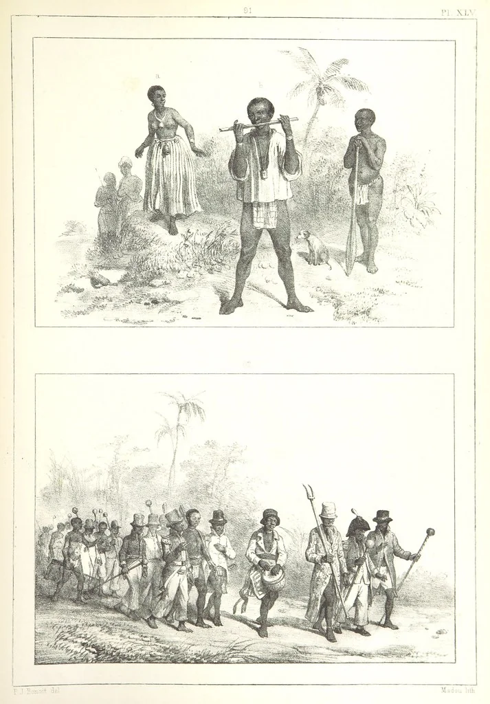 An illustration from Kolonisatie van Europeanen te Suriname. Opheffing van het pauperisme, ontwikkeling van handel en industrie, met ongeveer 90 platen, 1872, leaf 245