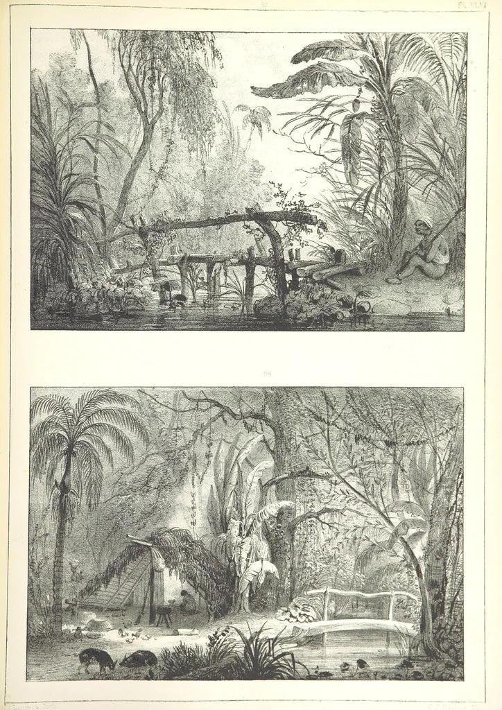 An illustration from Kolonisatie van Europeanen te Suriname. Opheffing van het pauperisme, ontwikkeling van handel en industrie, met ongeveer 90 platen, 1872, leaf 247